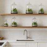 Terrários fechados em prateleiras suspensas: harmonia entre altura e equilíbrio
